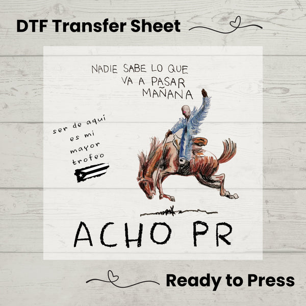 Bad Bunny Most Wanted Tour DTF, DTf Transfer Sheet, Ready to Press, Custom Dtf, DIY Heat Transfer, T-Shirt Transfer, Concert Shirt, NSLQVPM