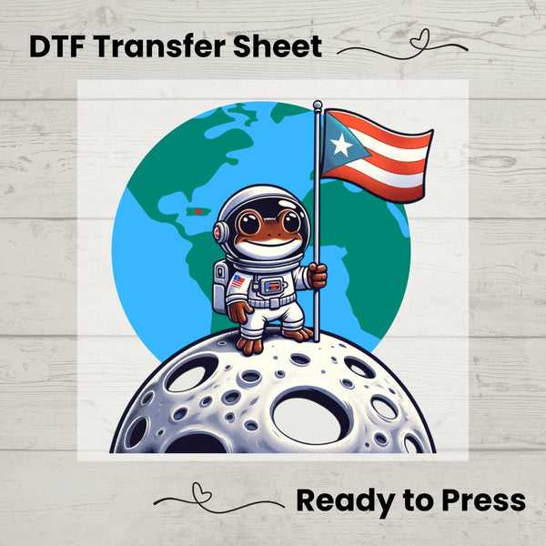 Puerto Rico Coqui En La Luna DTF, DTf Transfer Sheet, Ready to Press, Custom Dtf, DIY Heat Transfer, TShirt Transfer, Puerto Rico Flag Shirt